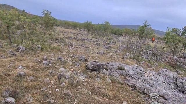 Lov na Fazana, Seter u fermi 11 смотреть онлайн