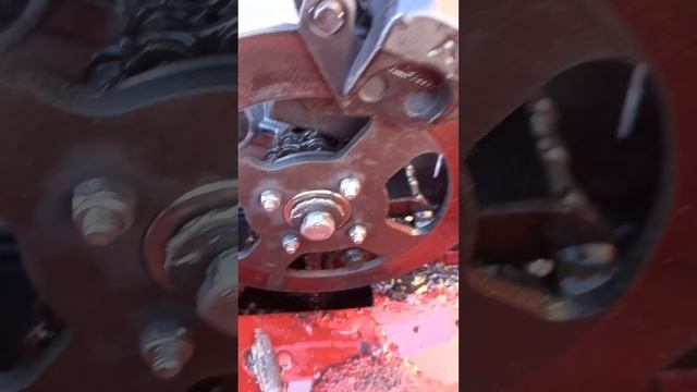 Бурлак беркут через 200км 29 января 2024г смотреть онлайн