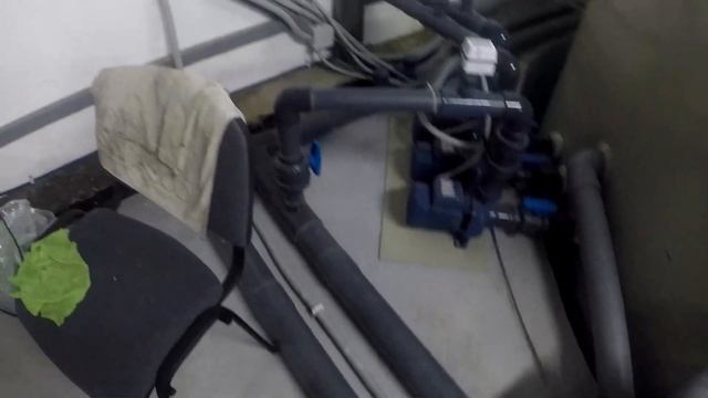 Мальковник в Кингисеппе.