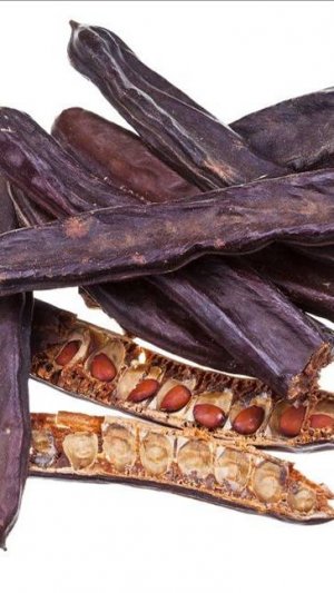 Из Турции стручки рожкового дерева, применение, польза кэроба