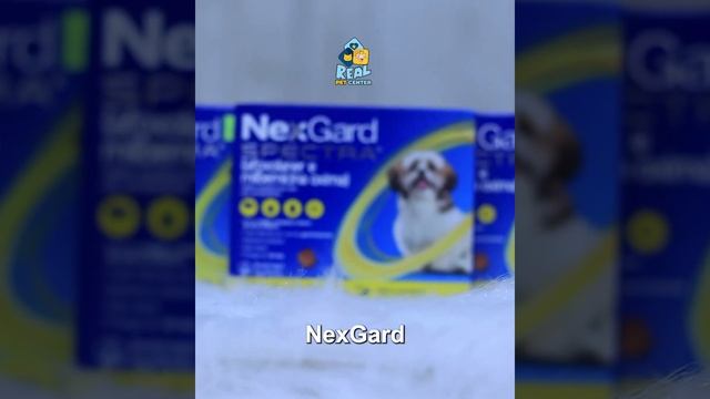 Simparic: proteção completa contra pulgas, carrapatos e sarna - RealPet Center смотреть онлайн