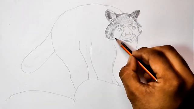 How to Draw a Raccoon with Pencils [Time Lapse] смотреть онлайн