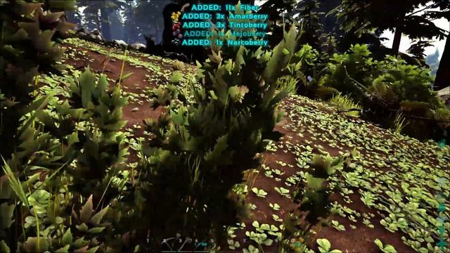 How to tame a Archaeopteryx смотреть онлайн