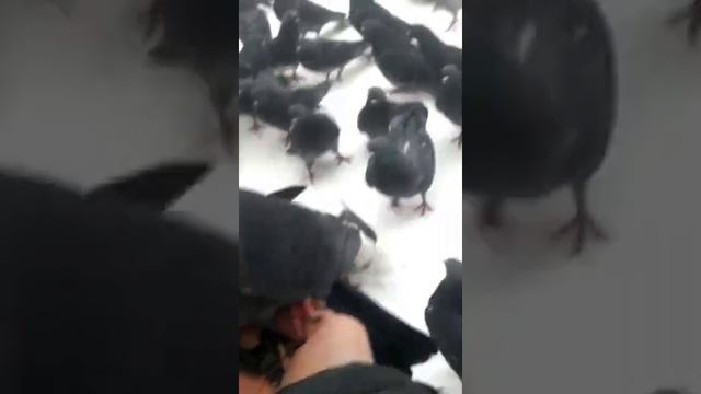Ты не ты когда голоден смотреть онлайн