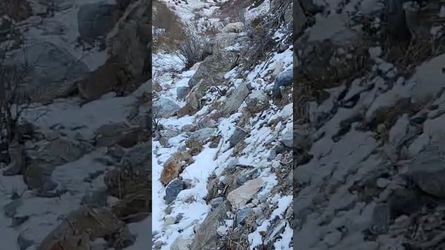 Альпиниста Путь к Вершине!Сайрам-Угамский национальный парк. Казахстан! Kazakhstan!ПОДПИШИСЬ! смотреть онлайн