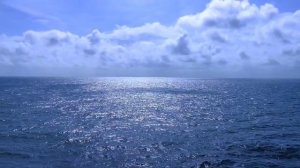 Песня из к/ф "ТИТАНИК" (на Русском языке). Евгения Виноградова