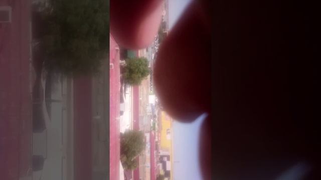 Атырау рынок Дина. смотреть онлайн