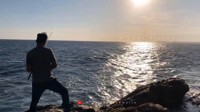 BATHEEGAMA BEACH | DICKWELLA | FISHING | SUN SET | SRI LANKA | M CUBE Dickwella смотреть онлайн