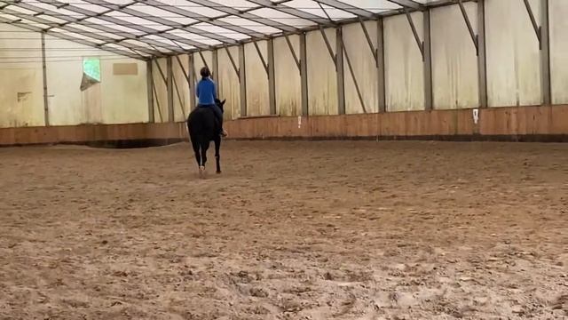 Рамзес рысь 10-10-21 смотреть онлайн