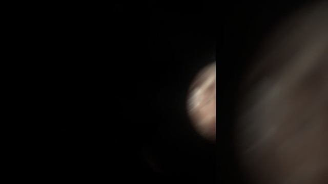 Nits phthiriasis palpebrarum смотреть онлайн