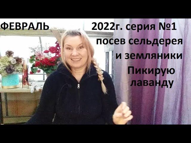 Пикирую лаванду. Сею сельдерей и землянику. смотреть онлайн