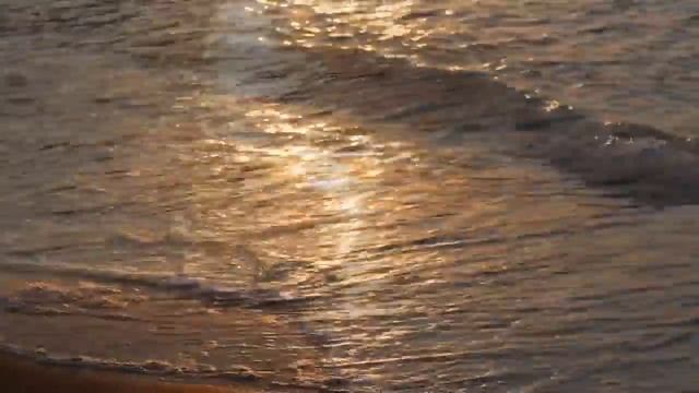 Shaman's Spell - Ethno Chill, Tribal Beats & Oriental Downtempo