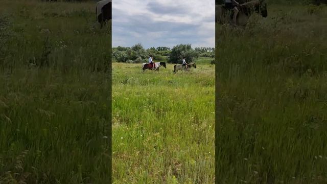 На видео наши гости первый раз на лошадях и мы едем в полях! смотреть онлайн