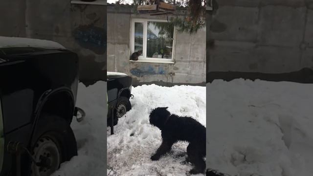 Прыжок в замедлении смотреть онлайн