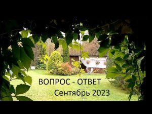 Вопрос - ответ, сентябрь 2023.