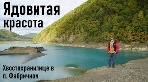 Хвостохранилище в посёлке Фабричном (Хрустальный ХГОК, Кавалерово). Ядовитая красота.