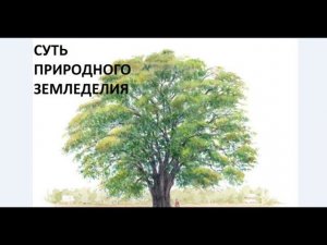 Суть природного земледелия.