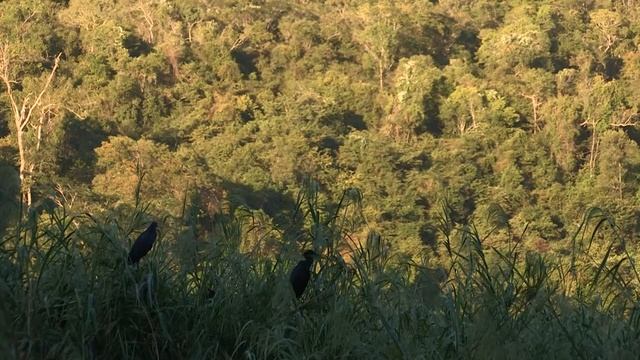 Le Nord de Madagascar смотреть онлайн