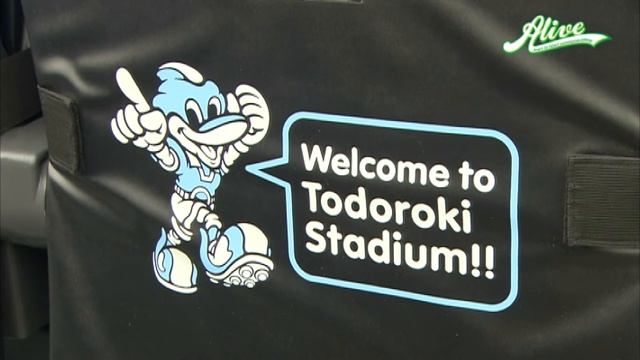 VIP Stadium Cushion For Folding Seat