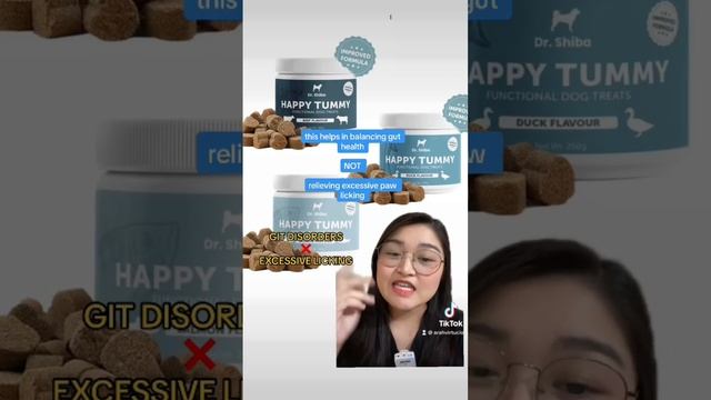 VET REVIEW: Dr Shiba Happy Tummy #arahvirtucio #drshibahappytummy #veterinarian смотреть онлайн