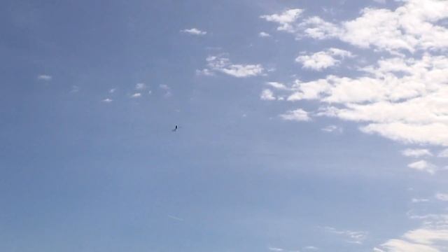 Rotor Live 2017 Mikado Presentation - incl. Mirko Cesena Flight смотреть онлайн