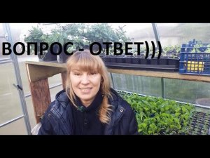 вопрос - ответ