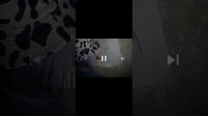 лайоши #лайоши