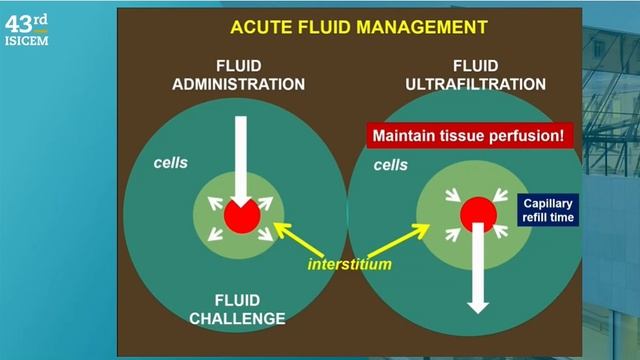 FLUID REMOVAL (ISICEM 2024)
