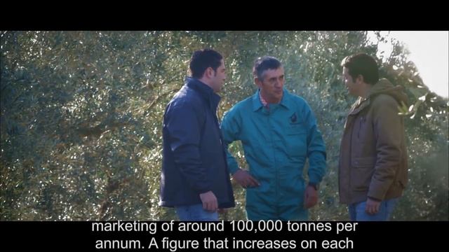 Azzayt Olive Oils - Corporative Video смотреть онлайн