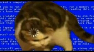 Мем с загрузкой кота 🐱