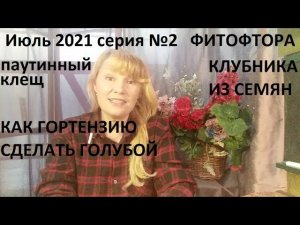 Июль 2021 серия №2. Паутинный клещ. Голубая гортензия и много что ещё)