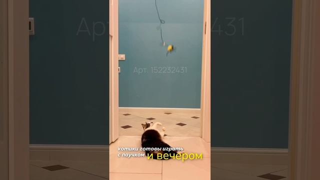 R&A Игрушка для кошек дразнилка для котят котов интерактивная RA-IG01 смотреть онлайн