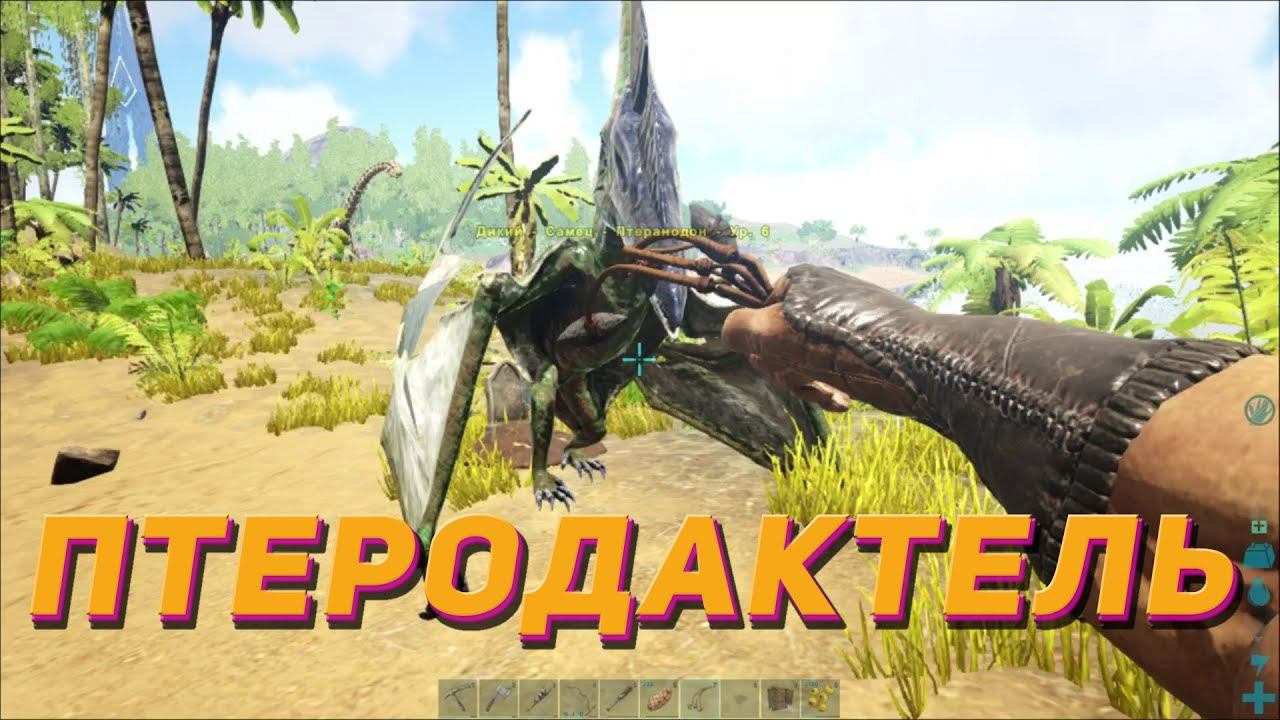 Где мой птеродактель Ark Survival