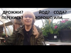 Дрожжи, йод, сода, перекись в саду - мое личное отношение.