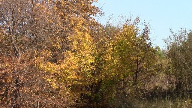 MVI_1648 смотреть онлайн