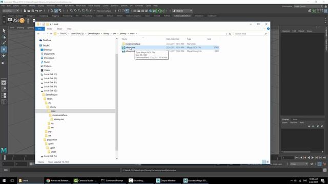 Advanced skeleton: Work-flow & setup of files