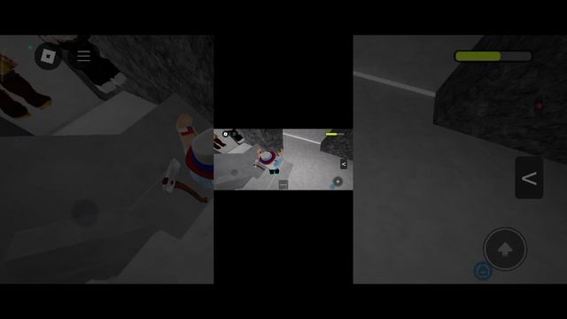 Roblox  Facial Smile