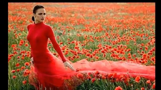 Claude Barzotti - Passion blanche.wmv смотреть онлайн