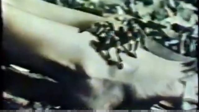 TARANTULA NA SESSÃO ESPECIAL (CHAMADA) RECORD TV 1984 смотреть онлайн