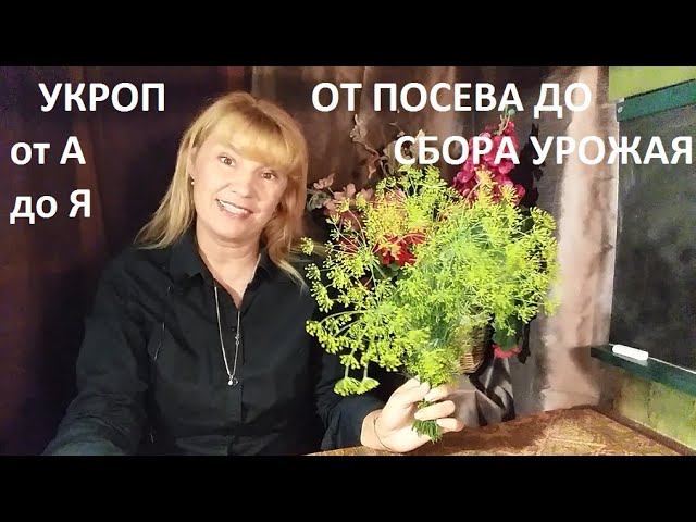 Укроп в природном земледелии. смотреть онлайн