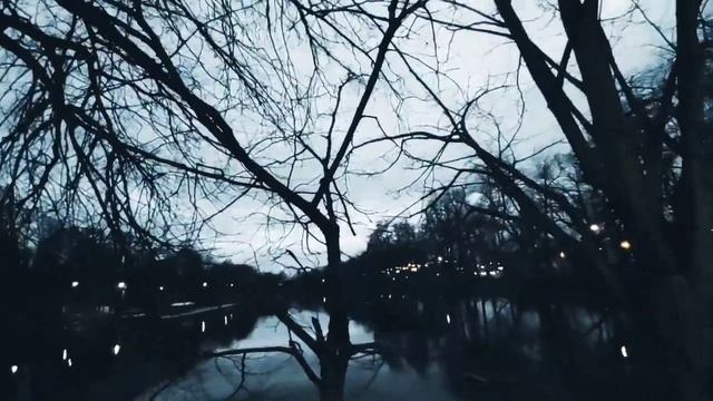 VID 20240424 210953 Кто оседлает коня...(Рафаэль Альберти)...Павел Васильев Лахтинский смотреть онлайн