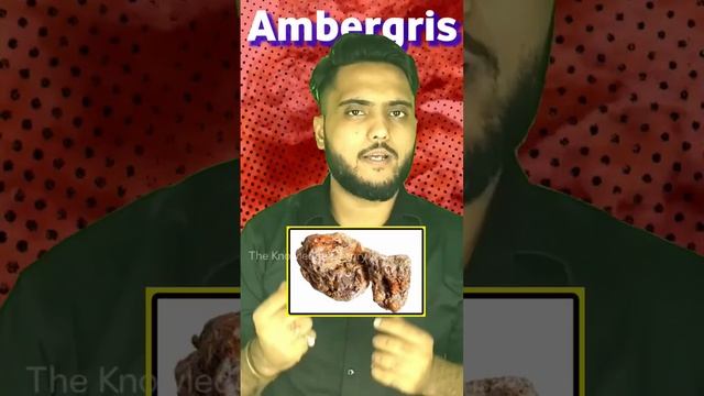 Whale's vomit worth millions #shorts ambergris смотреть онлайн
