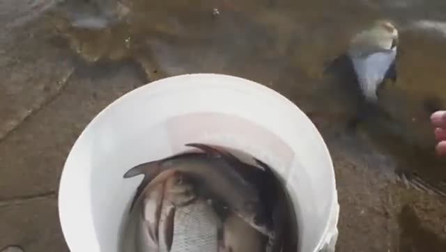 Фидер Весной. Рыбалка на Исетском Водохранилище. смотреть онлайн