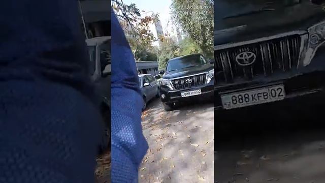 01.10.2018 Алматы Муканова Толеби 888KFB02 стоянка на тротуаре смотреть онлайн