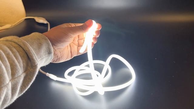 Cool White COB LED Strip 220V 240V Neon Flex 4000K 288 LEDs/m IP67 with UK Plug смотреть онлайн