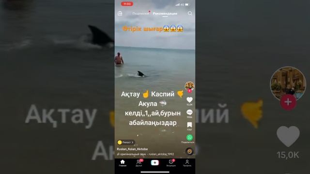 Ақтауда акула бар деген өтірік шығар😱😱😱 смотреть онлайн