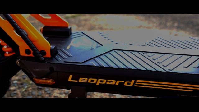 Ausom Leopard Scooter Review смотреть онлайн