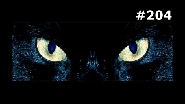 #204. Животные (В мире животных) смотреть онлайн