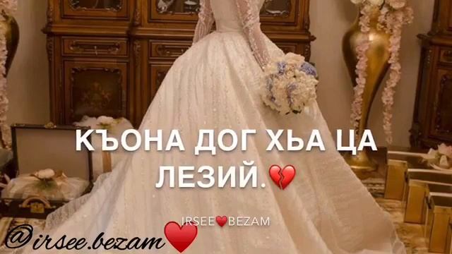 Теша хьо😭😻🎶 смотреть онлайн