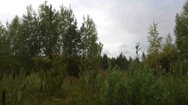 утиная смотреть онлайн